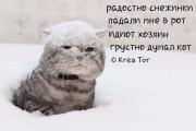 коты4.jpg