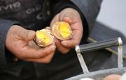 Urine-soaked-eggs-8.jpg