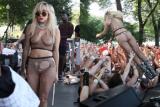 36424_lady_gaga_au_lollapalooza_festival.jpg