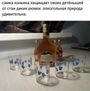 Без имени.jpg